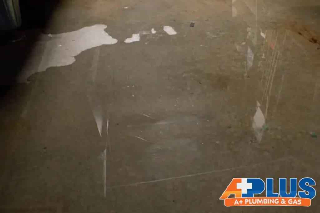 Floodwaters seep into the basement